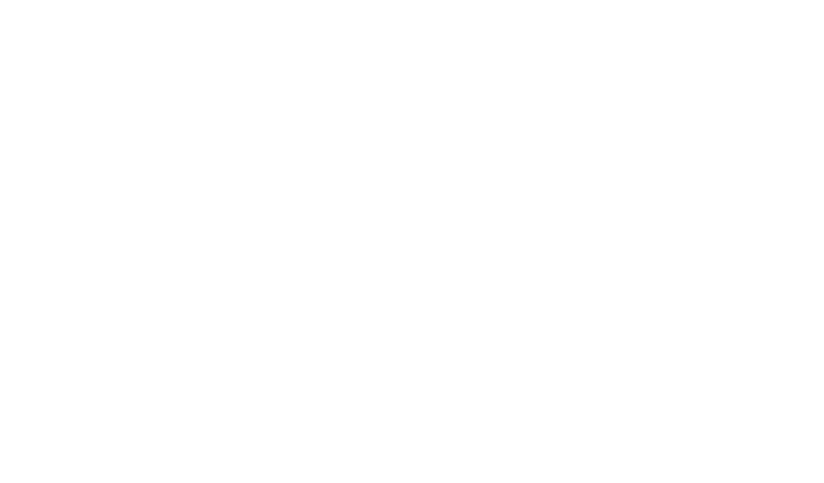 Treasure Chest logo